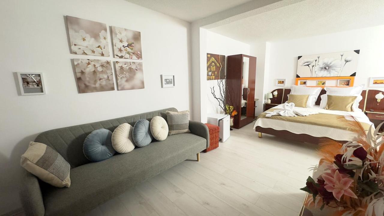 Hotel Casa Mina à Buşteni Extérieur photo